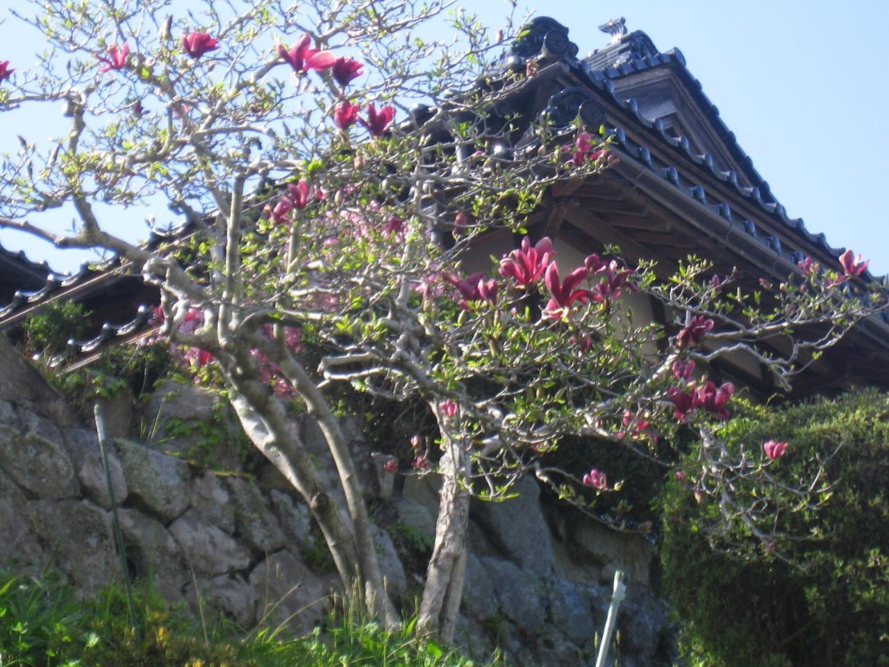 Japanese Style Inn Dohzen Miwa Niimi Esterno foto
